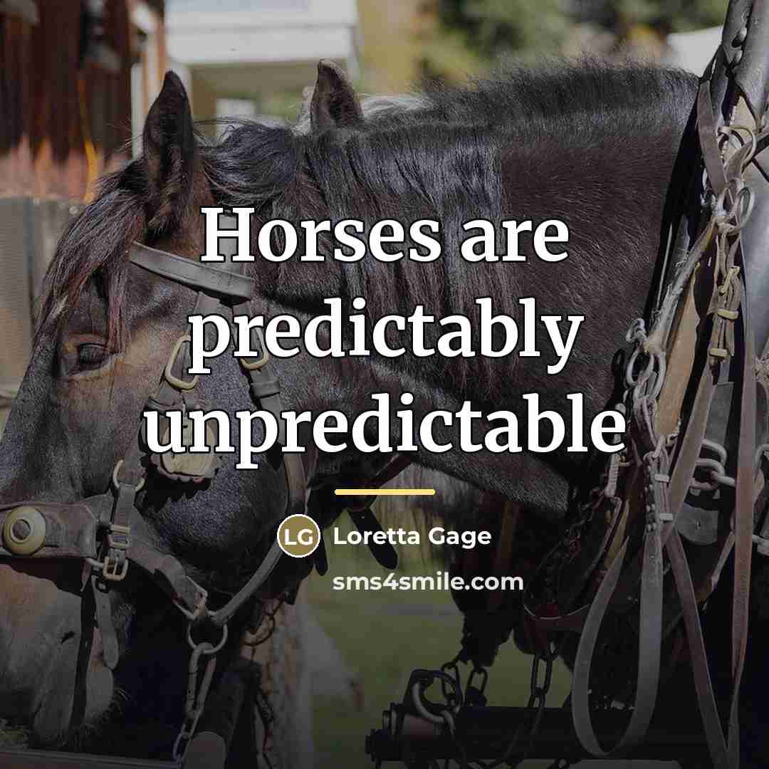 “Horses are predictably unpredictable…” quote by Loretta Gage