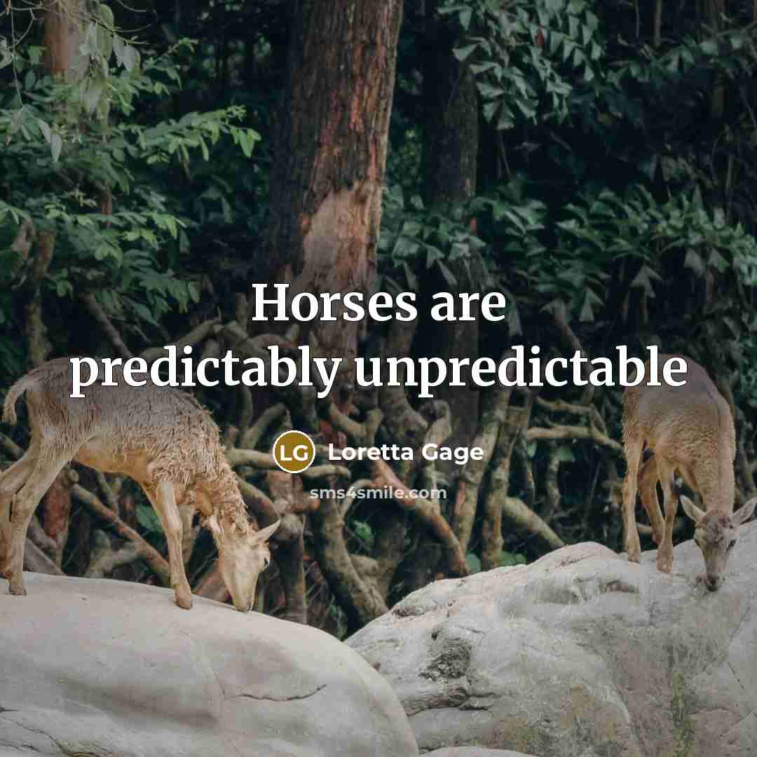 “Horses are predictably unpredictable” quote by Loretta Gage