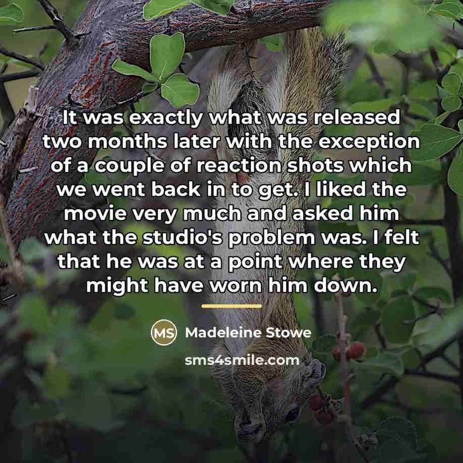 “It was exactly what was released two months later with…” quote by Madeleine Stowe