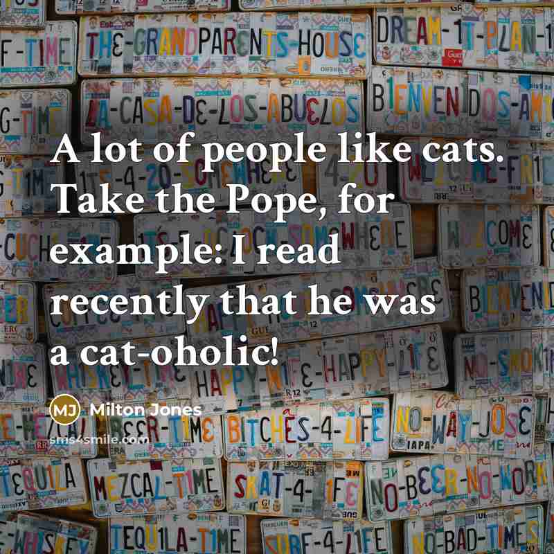 “A lot of people like cats. Take the Pope, for…” quote by Milton Jones