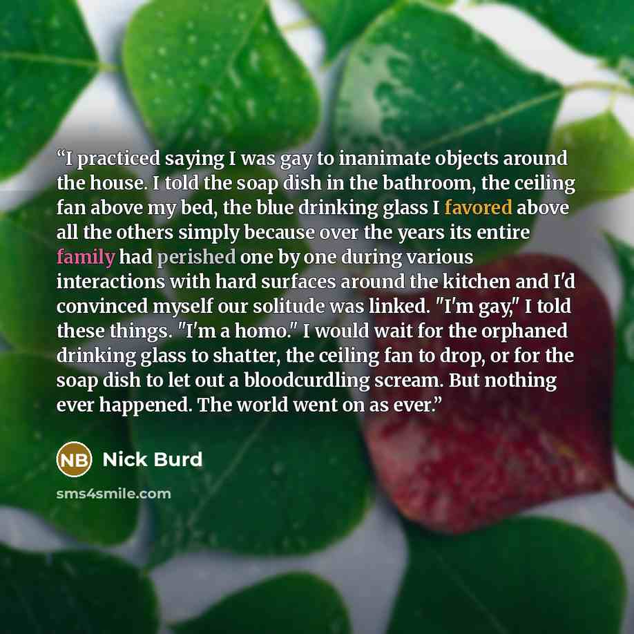 “I practiced saying I was gay to inanimate objects around the house. I told the soap dish in the bathroom, the ceiling fan above my bed, the blue drinking glass I favored above all the others simply because over the years its entire family had perished one by one during various interactions with…” quote by Nick Burd