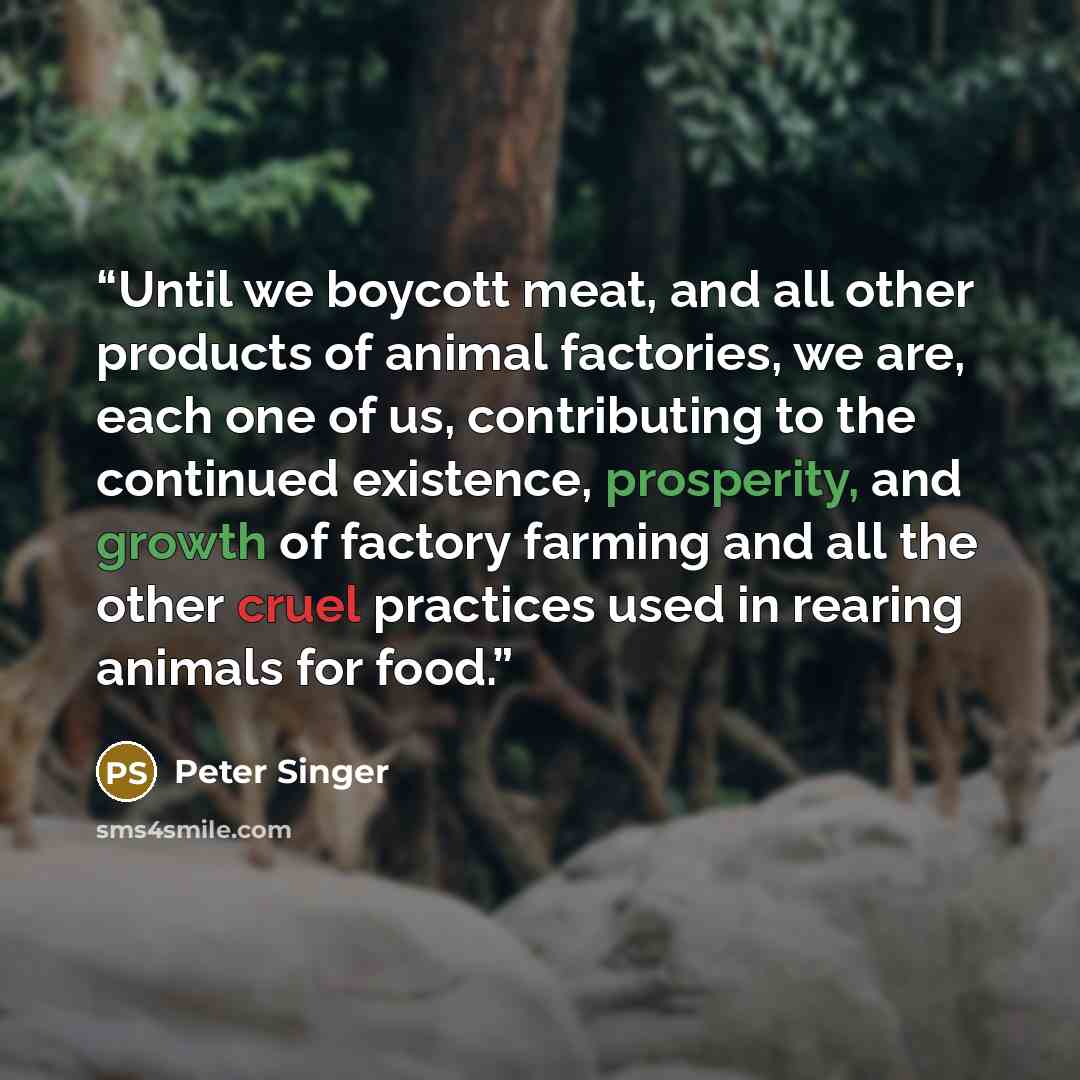 “Until we boycott meat, and all other products of animal factories, we are, each one of us, contributing to the continued existence, prosperity, and growth of factory farming and all the other cruel practices used in rearing animals for food.” quote by Peter Singer