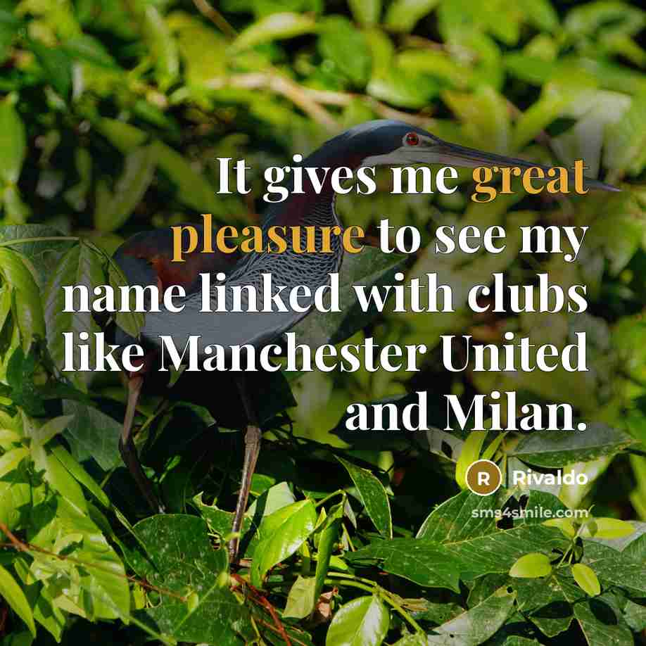 “It gives me great pleasure to see my name linked with clubs like Manchester United and Milan.” quote by Rivaldo