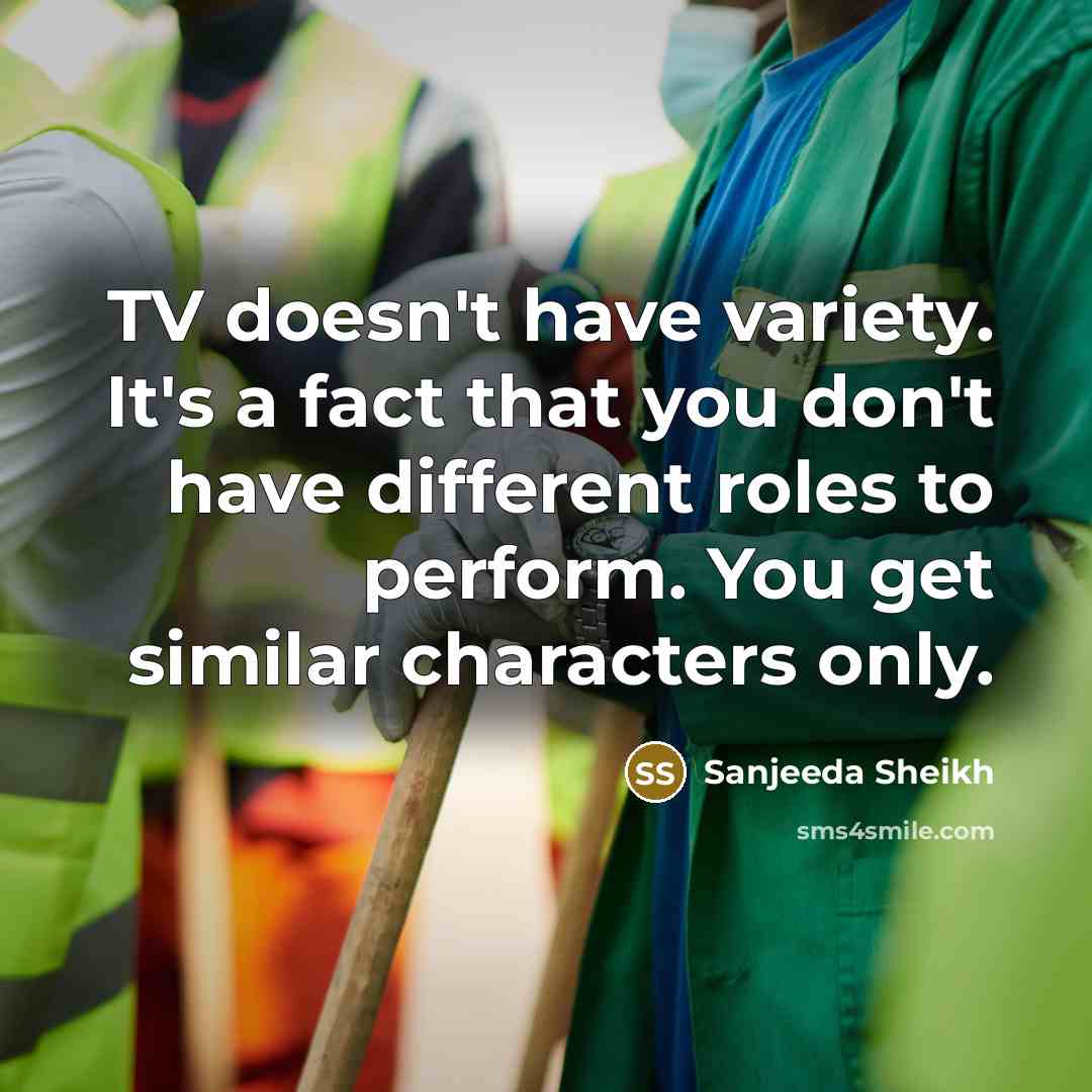 “TV doesn't have variety. It's a fact that you don't…” quote by Sanjeeda Sheikh