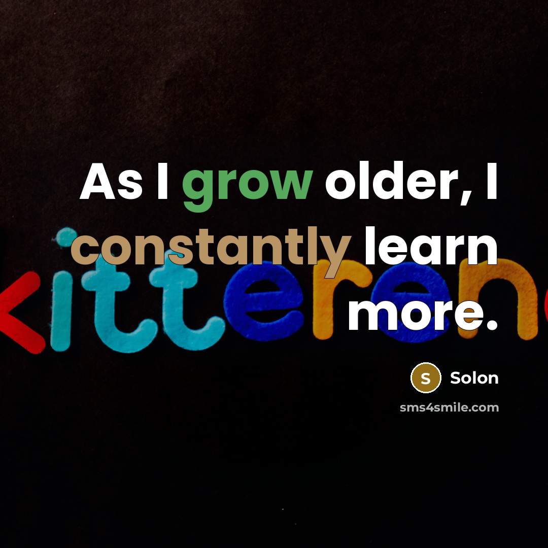 “As I grow older, I constantly learn more.” quote by Solon