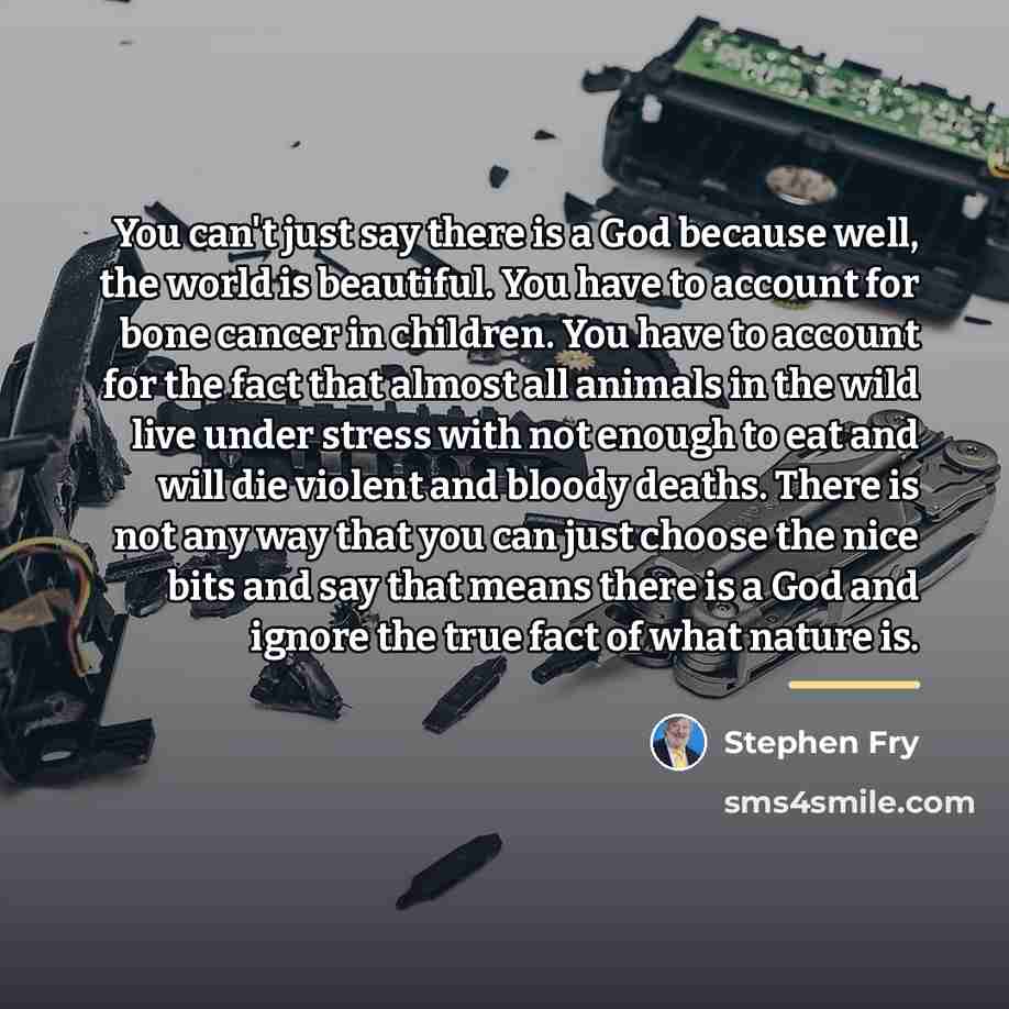 “You can't just say there is a God because well,…” quote by Stephen Fry