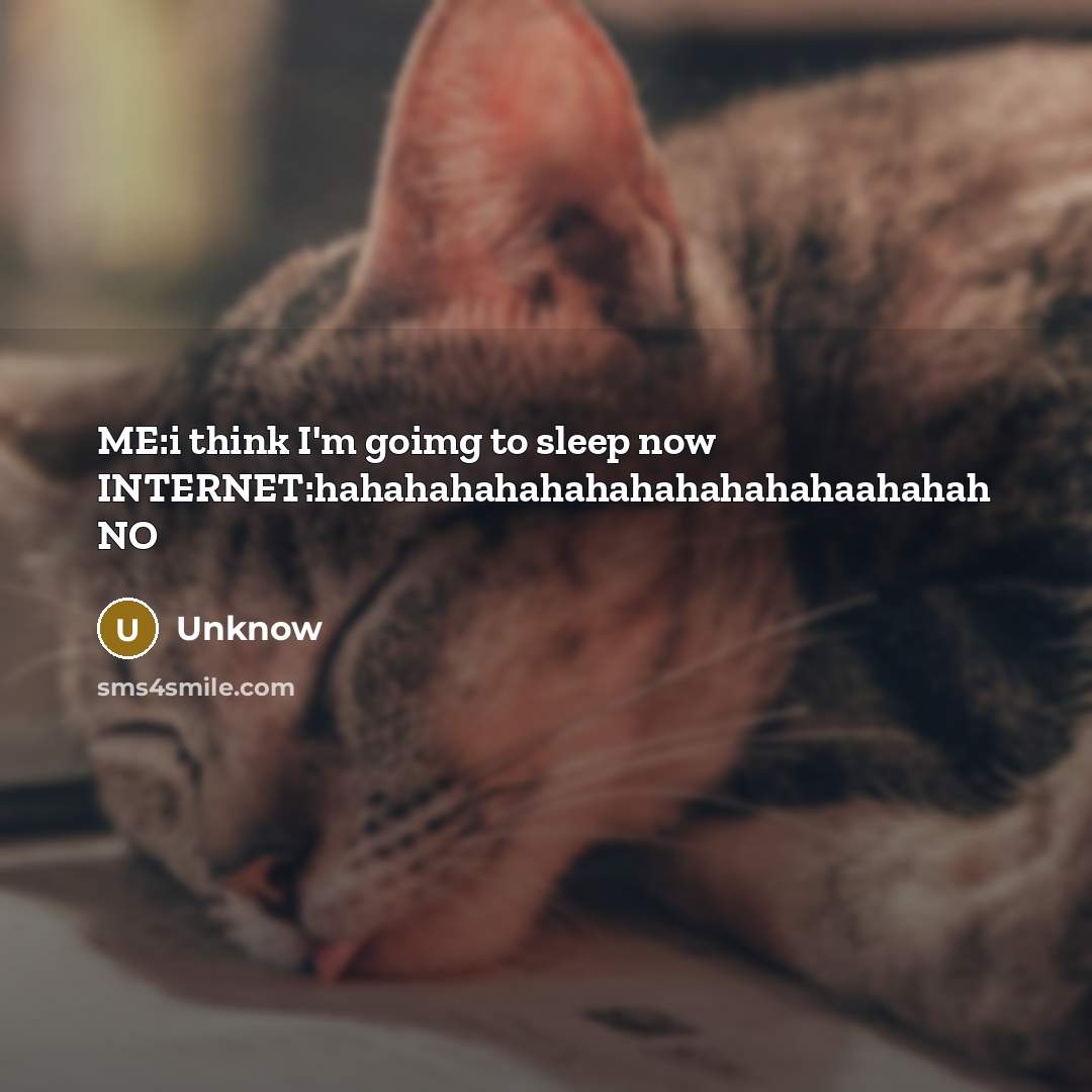 “ME:i think I'm goimg to sleep now INTERNET:hahahahahahahahahahahahaahahah NO…” quote by Unknow