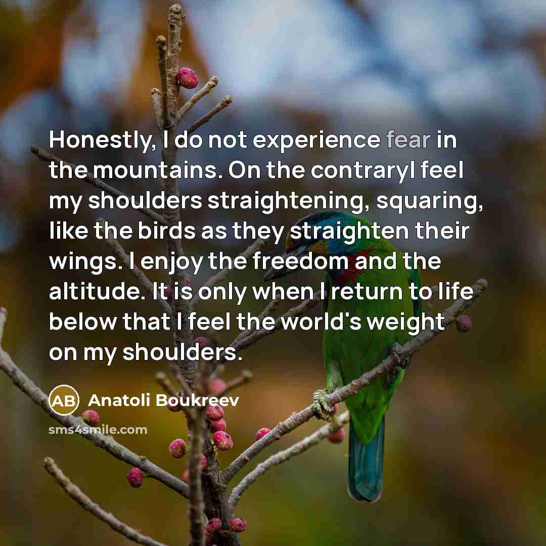 “Honestly, I do not experience fear in the mountains. On…” quote by Anatoli Boukreev