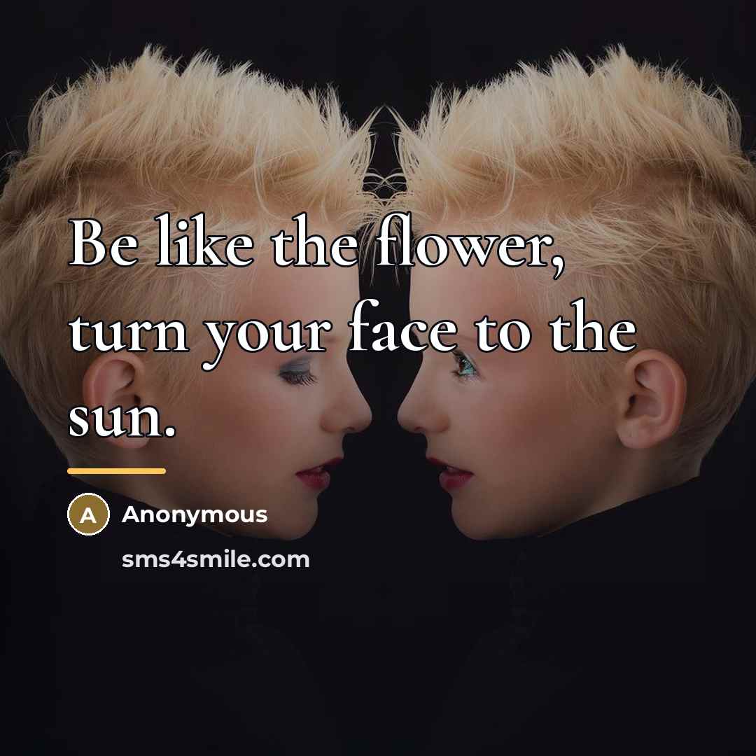 “Be like the flower, turn your face to the sun.…” quote by Anonymous