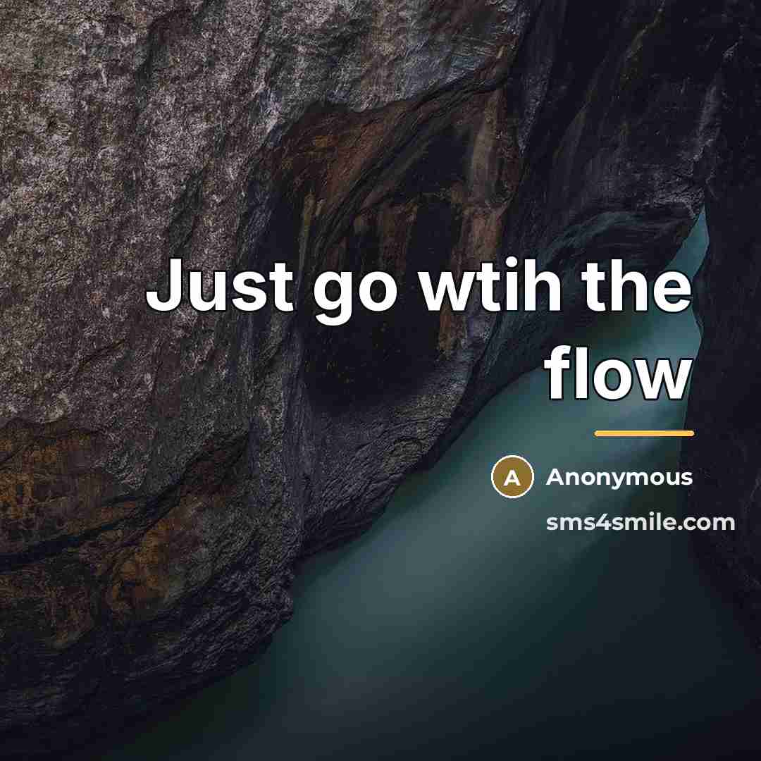“Just go wtih the flow…” quote by Anonymous