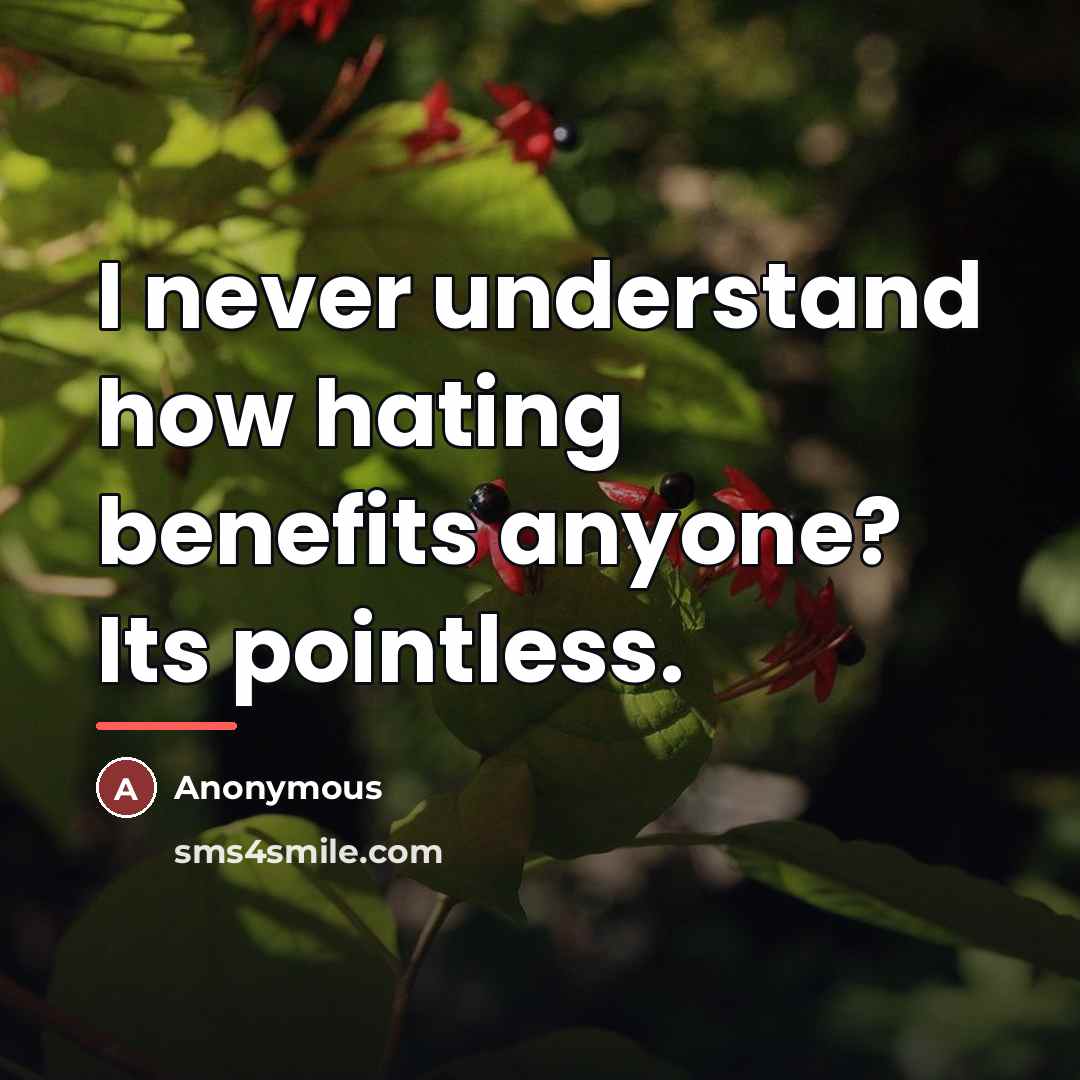“I never understand how hating benefits anyone? Its pointless.…” quote by Anonymous