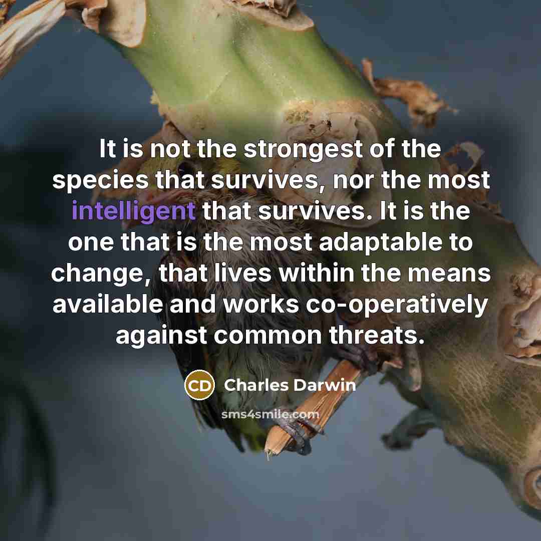 “It is not the strongest of the species that survives,…” quote by Charles Darwin