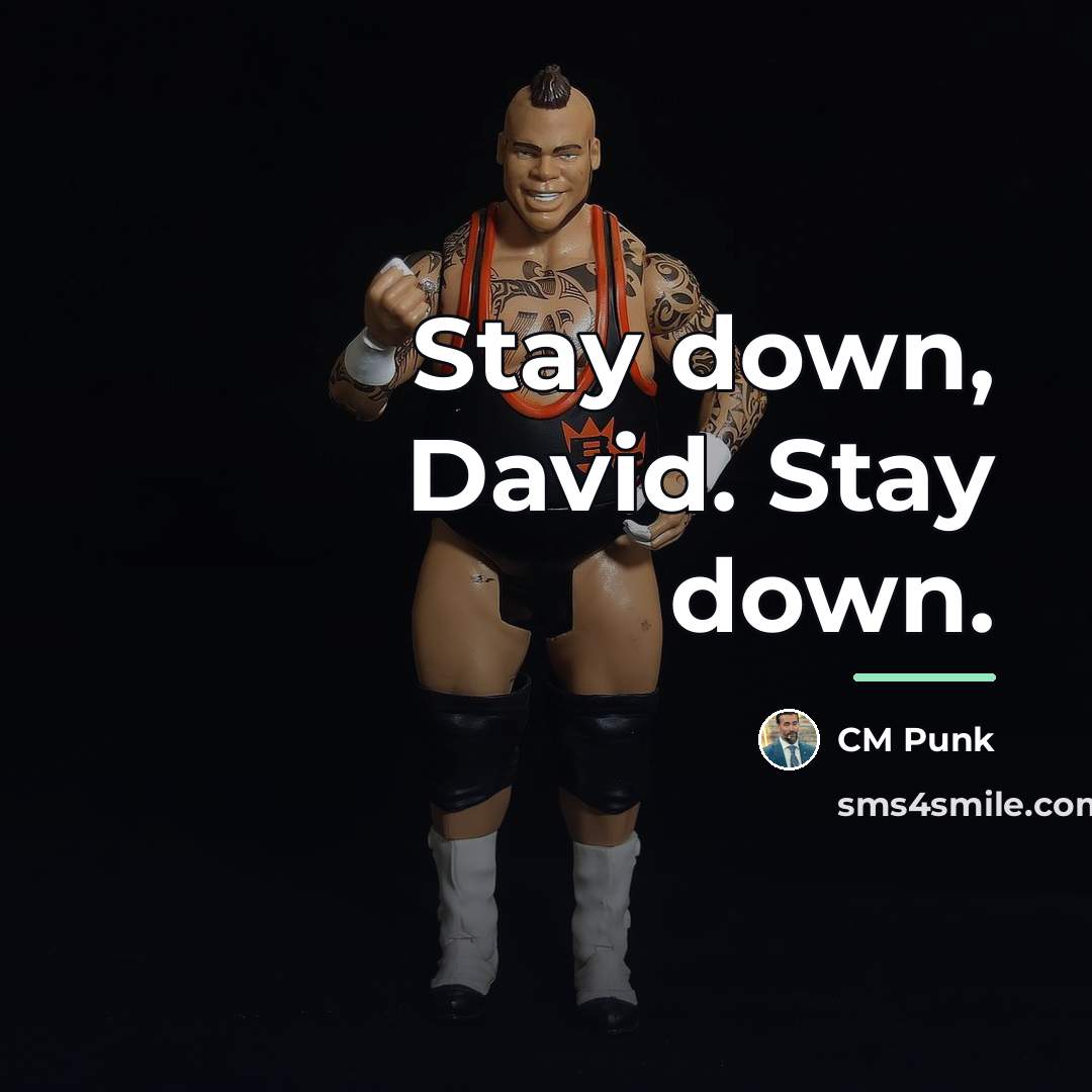 “Stay down, David. Stay down.…” quote by CM Punk