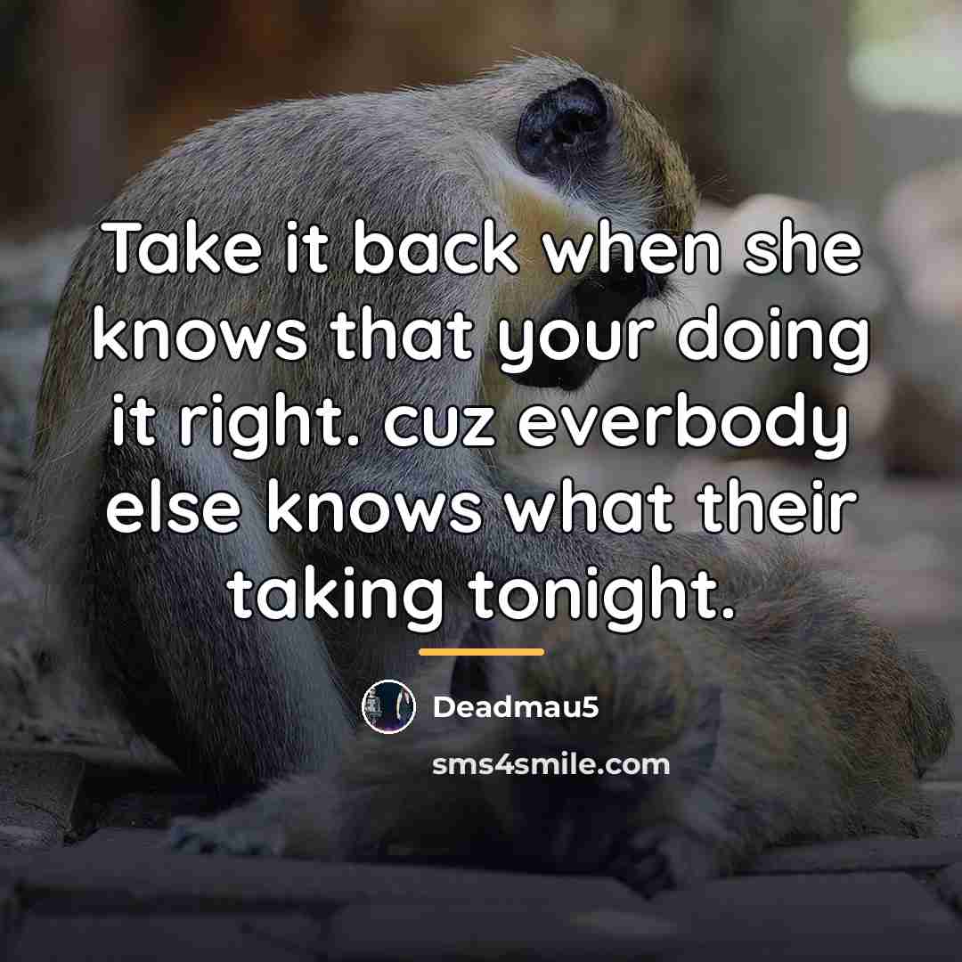 “Take it back when she knows that your doing it…” quote by Deadmau5