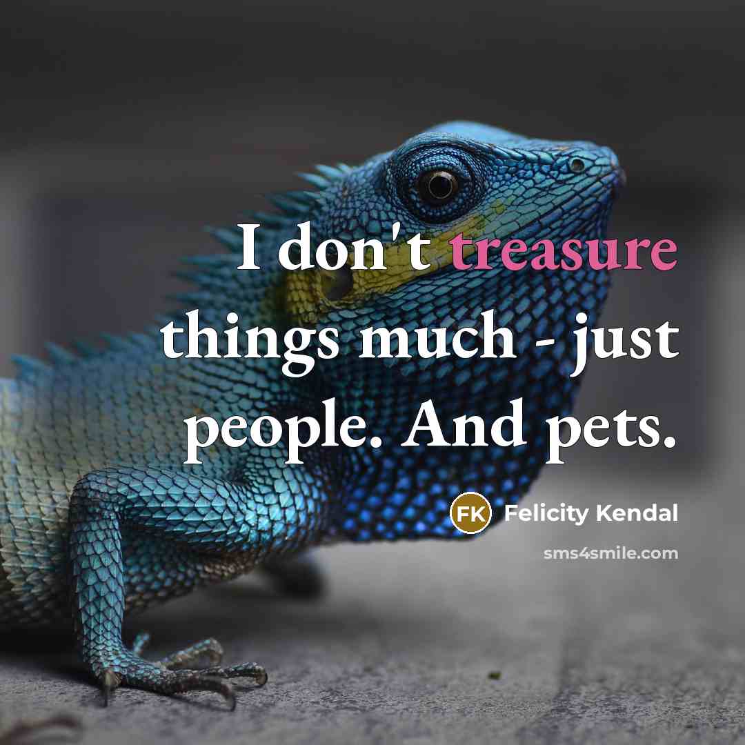 “I don't treasure things much - just people. And pets.” quote by Felicity Kendal