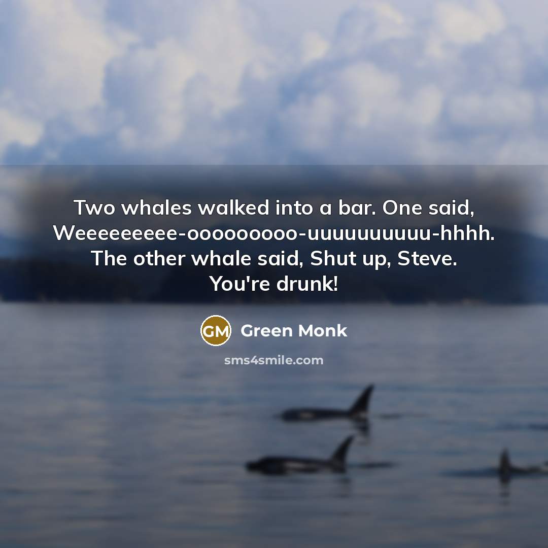 “Two whales walked into a bar. One said, Weeeeeeeee-ooooooooo-uuuuuuuuuu-hhhh. The…” quote by Green Monk