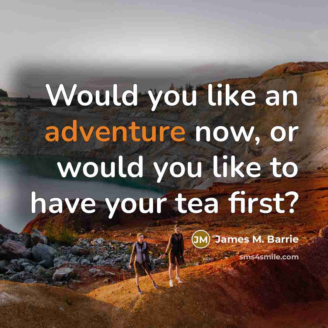 “Would you like an adventure now, or would you like…” quote by James M. Barrie
