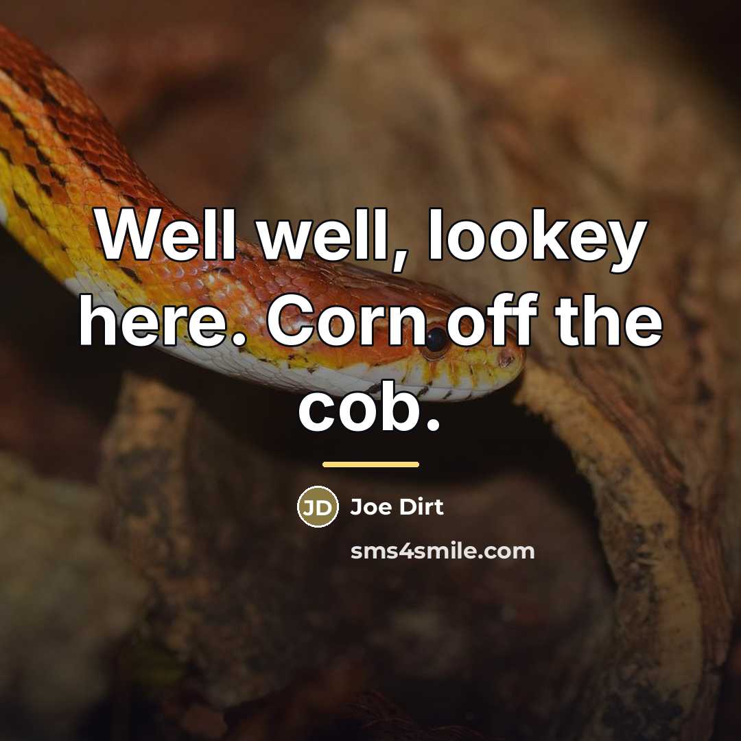 “Well well, lookey here. Corn off the cob.…” quote by Joe Dirt