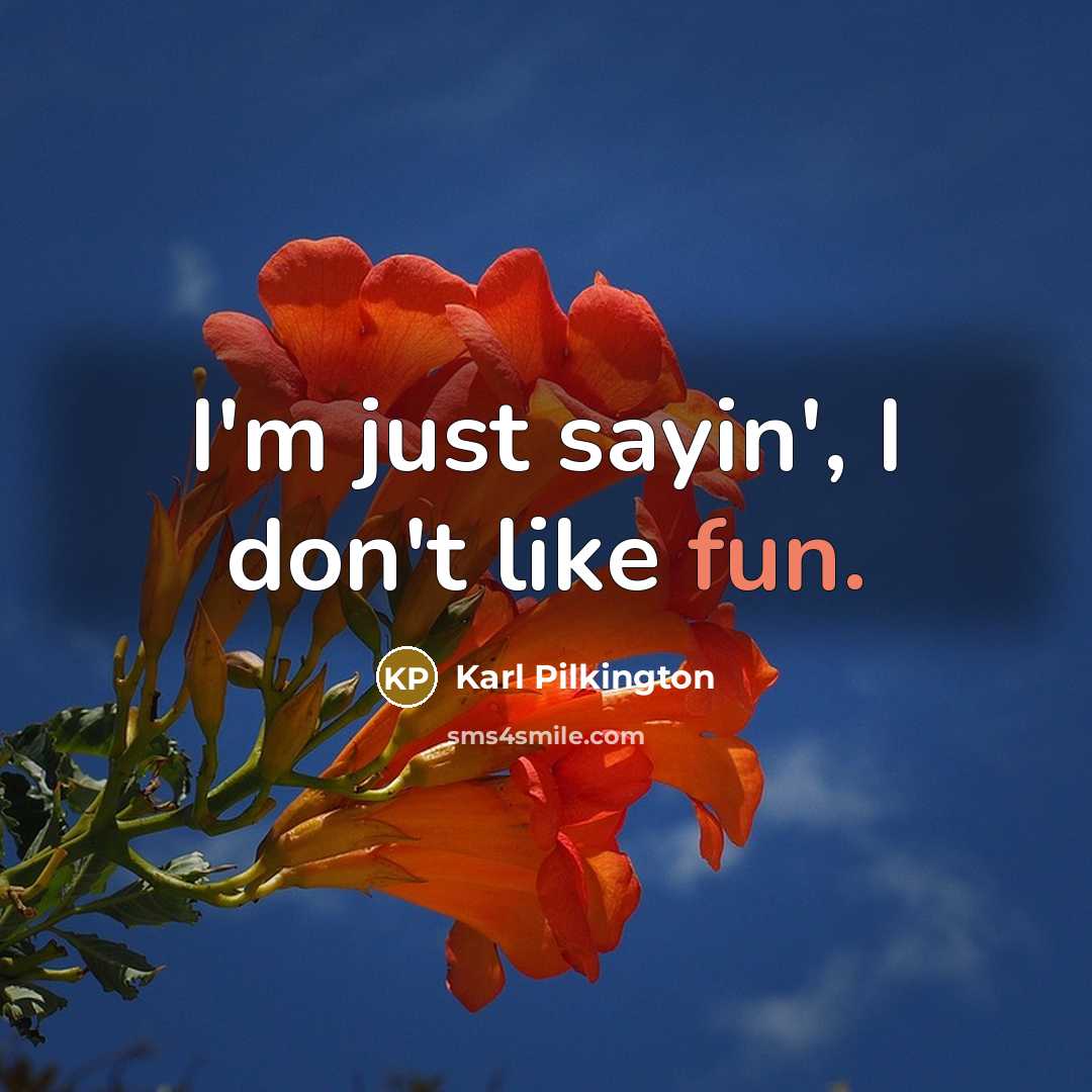 “I'm just sayin', I don't like fun.…” quote by Karl Pilkington