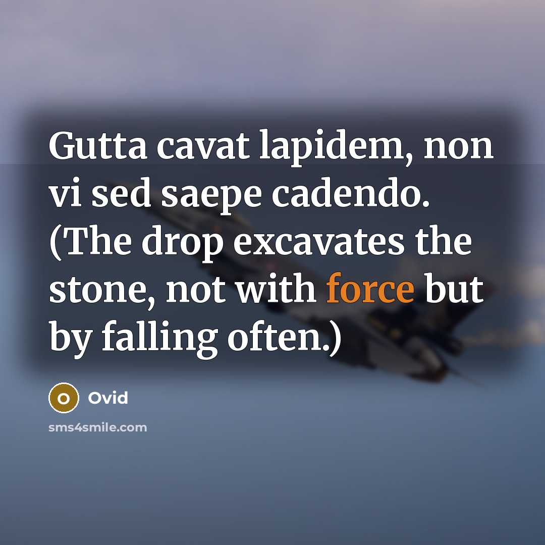 “Gutta cavat lapidem, non vi sed saepe cadendo. (The drop excavates the stone, not with force but by falling often.)” quote by Ovid