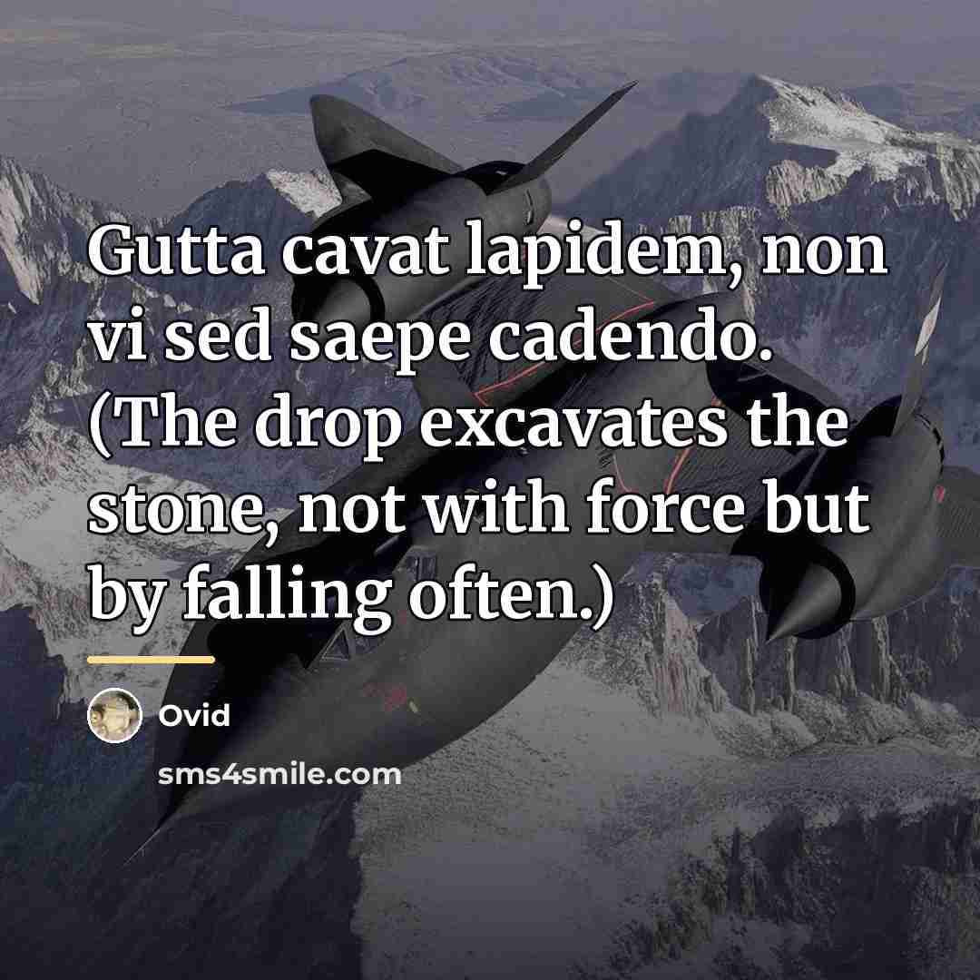 “Gutta cavat lapidem, non vi sed saepe cadendo. (The drop…” quote by Ovid