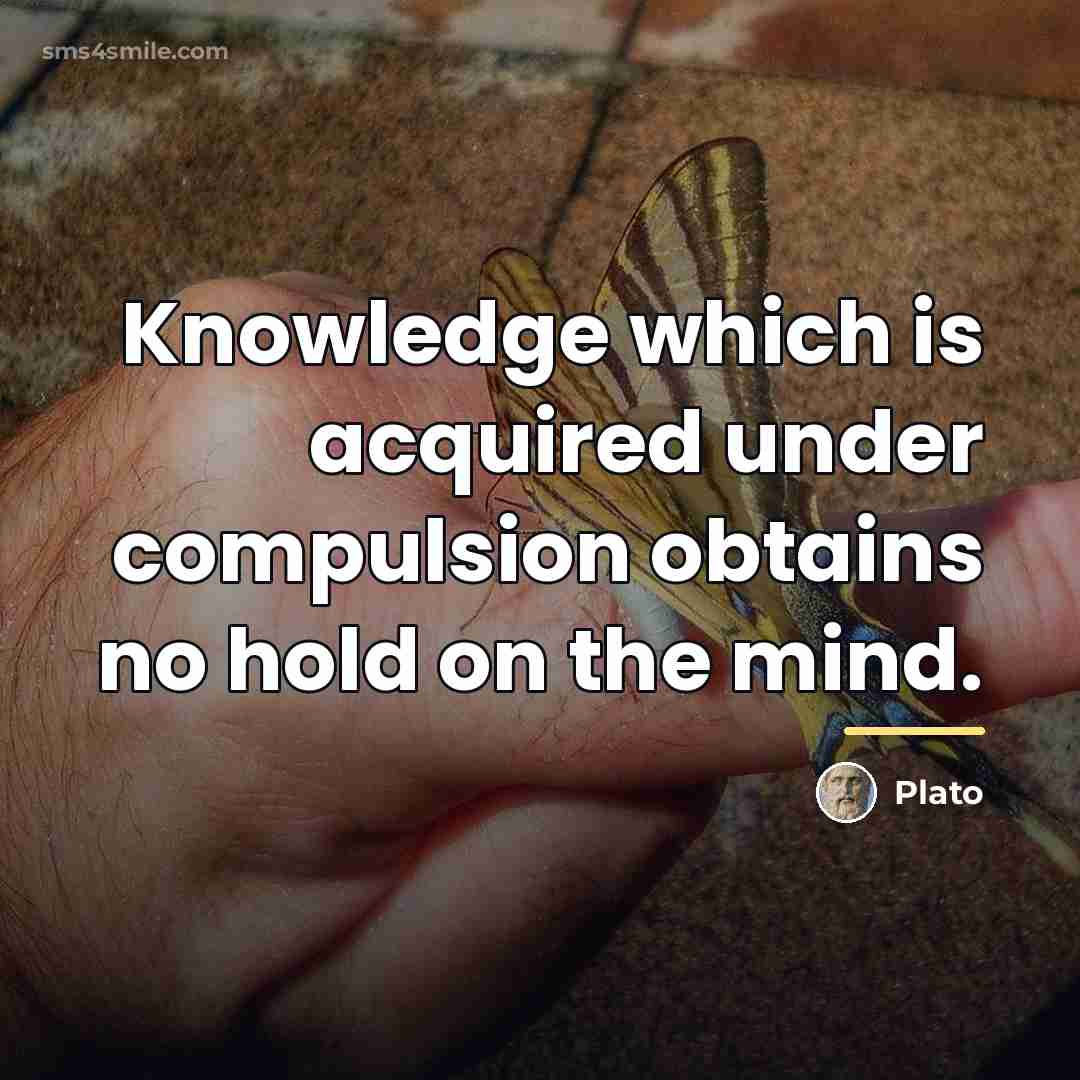 “Knowledge which is acquired under compulsion obtains no hold on…” quote by Plato