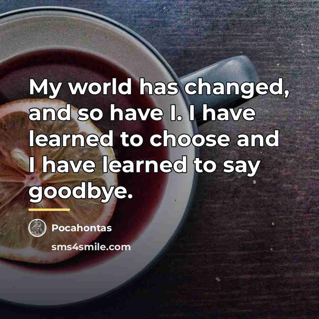 “My world has changed, and so have I. I have…” quote by Pocahontas