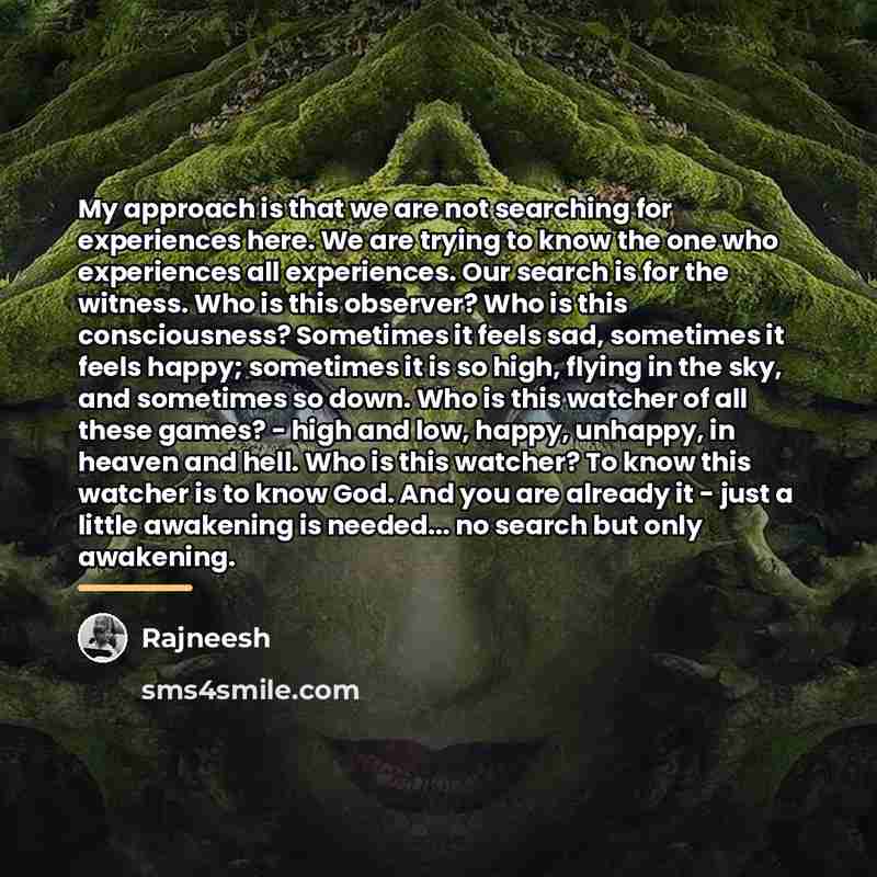 “My approach is that we are not searching for experiences…” quote by Rajneesh