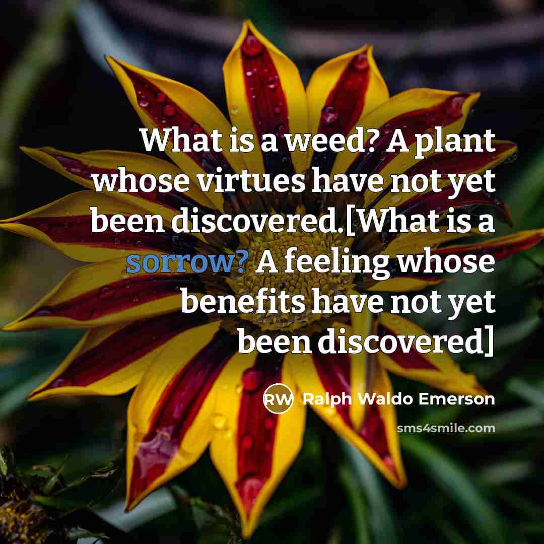 “What is a weed? A plant whose virtues have not…” quote by Ralph Waldo Emerson