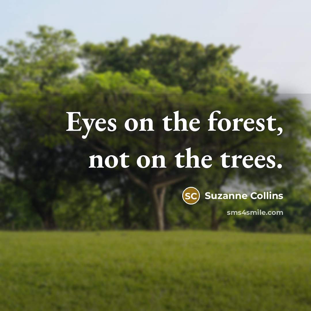 “Eyes on the forest, not on the trees.…” quote by Suzanne Collins