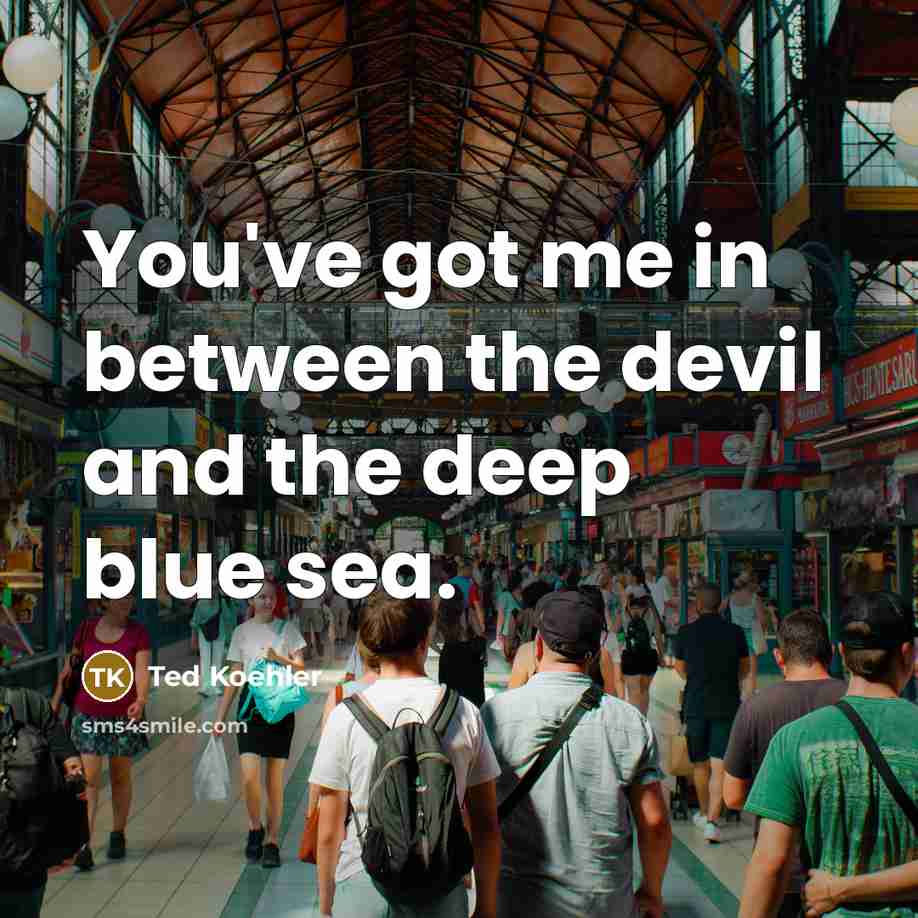 “You've got me in between the devil and the deep blue sea.” quote by Ted Koehler