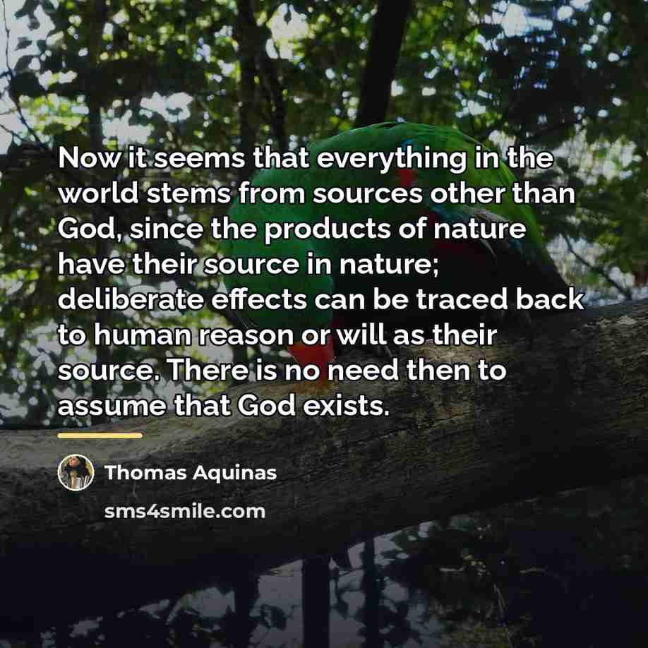 “Now it seems that everything in the world stems from…” quote by Thomas Aquinas