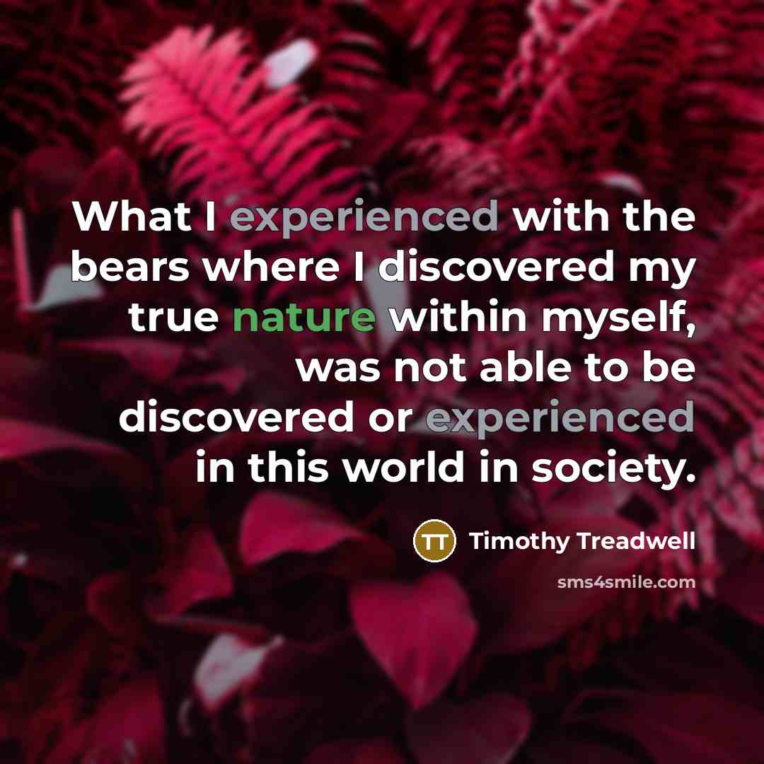 “What I experienced with the bears where I discovered my…” quote by Timothy Treadwell