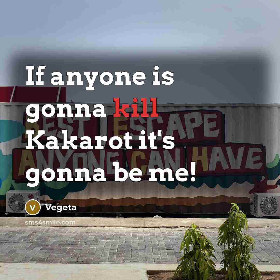 “If anyone is gonna kill Kakarot it's gonna be me!” quote by Vegeta