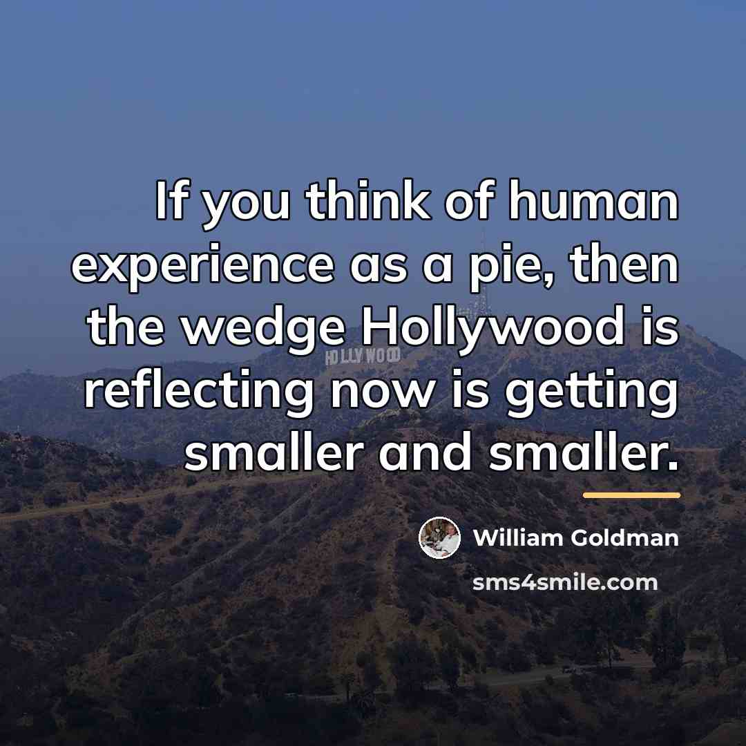 “If you think of human experience as a pie, then…” quote by William Goldman