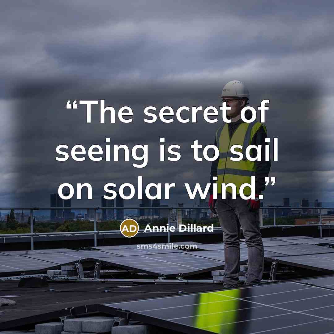 “The secret of seeing is to sail on solar wind.” quote by Annie Dillard