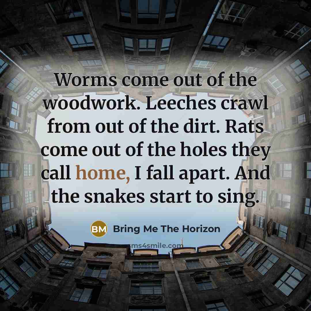“Worms come out of the woodwork. Leeches crawl from out of the dirt. Rats come out of the holes they call home, I fall apart. And the snakes start to sing.” quote by Bring Me The Horizon