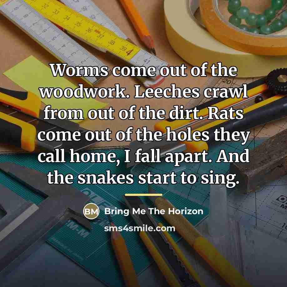 “Worms come out of the woodwork. Leeches crawl from out…” quote by Bring Me The Horizon