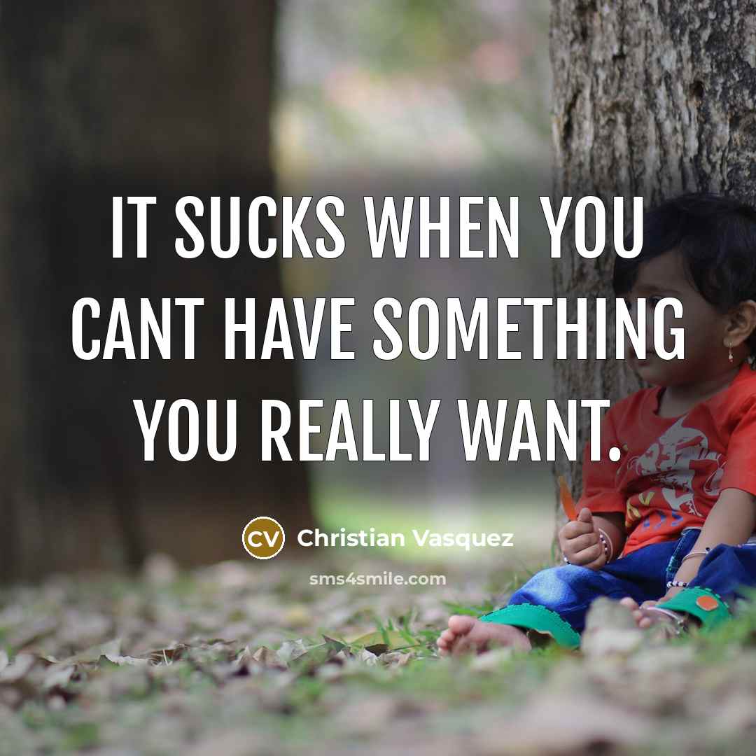 “It sucks when you cant have something you really want.…” quote by Christian Vasquez