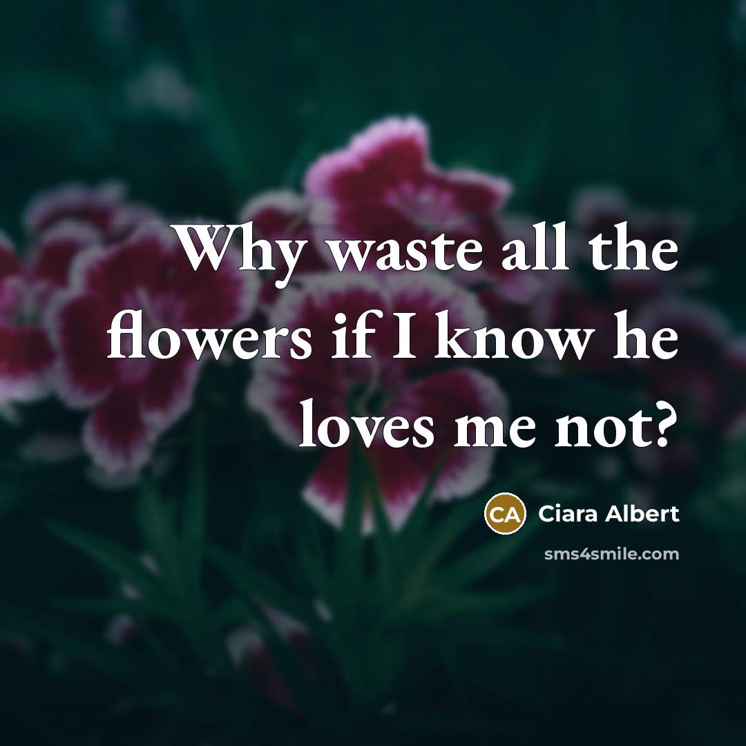 “Why waste all the flowers if I know he loves me not?” quote by Ciara Albert