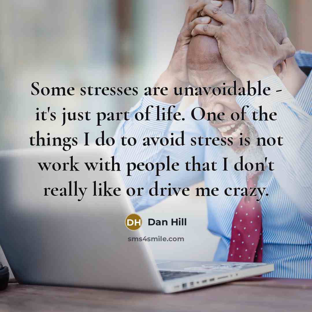 “Some stresses are unavoidable - it's just part of life.…” quote by Dan Hill