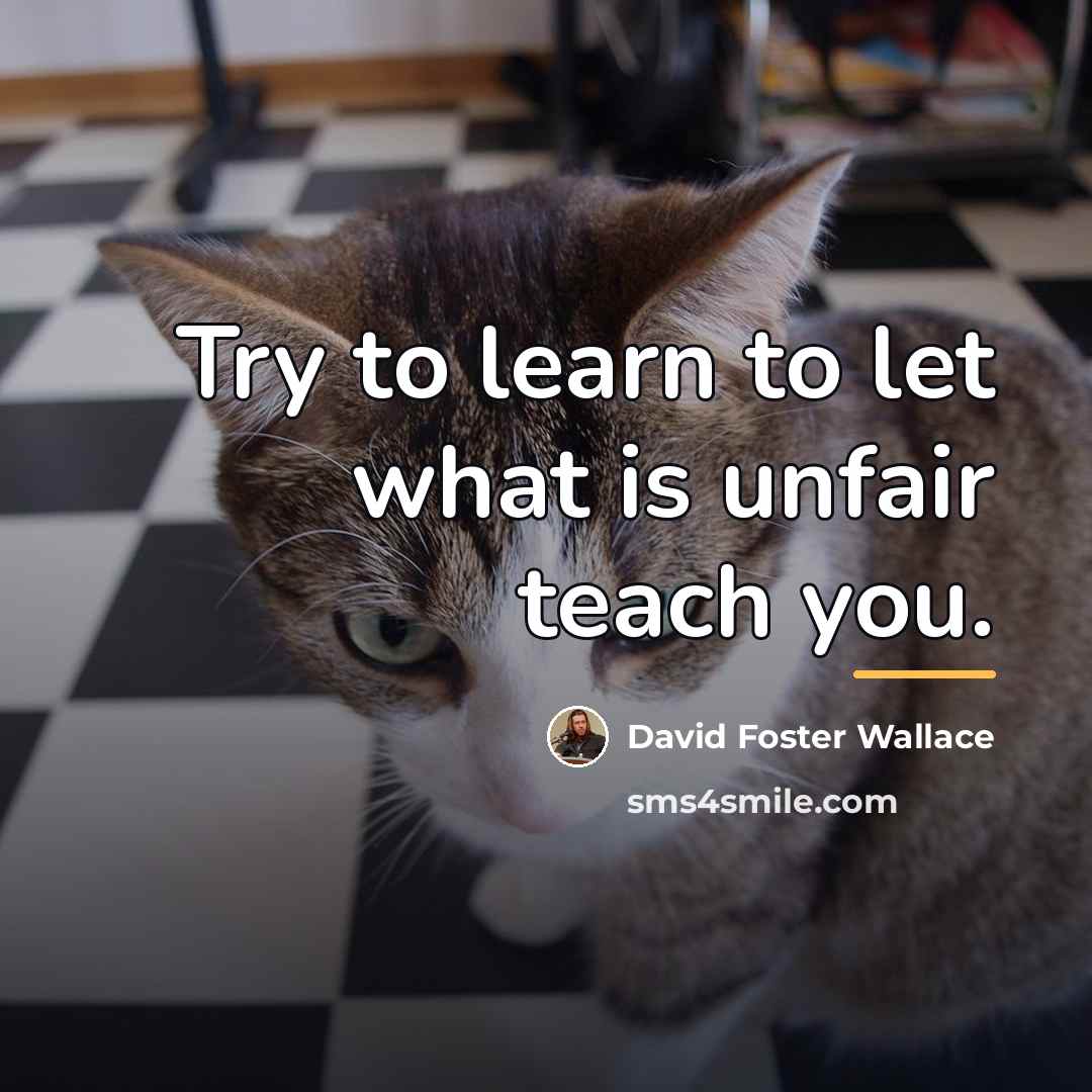 “Try to learn to let what is unfair teach you.…” quote by David Foster Wallace