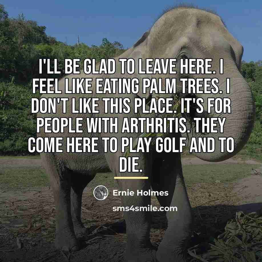 “I'll be glad to leave here. I feel like eating…” quote by Ernie Holmes