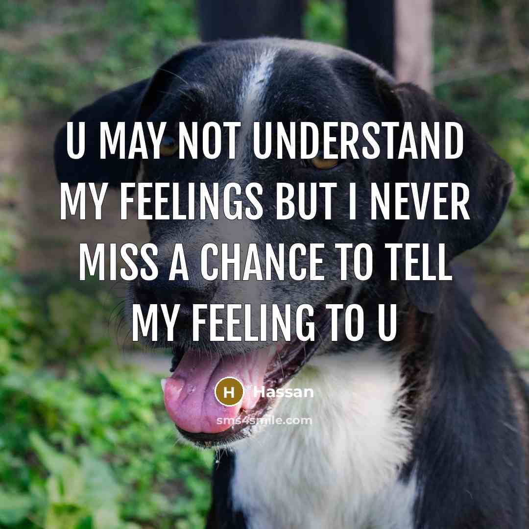 “U may not understand my feelings but I never miss a chance to tell my feeling to u” quote by Hassan