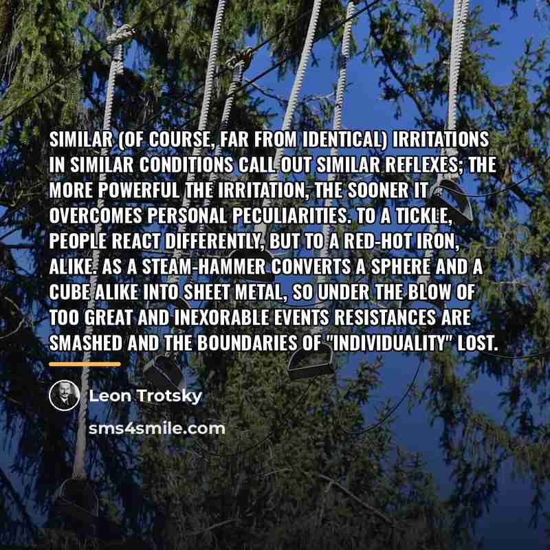 “Similar (of course, far from identical) irritations in similar conditions…” quote by Leon Trotsky