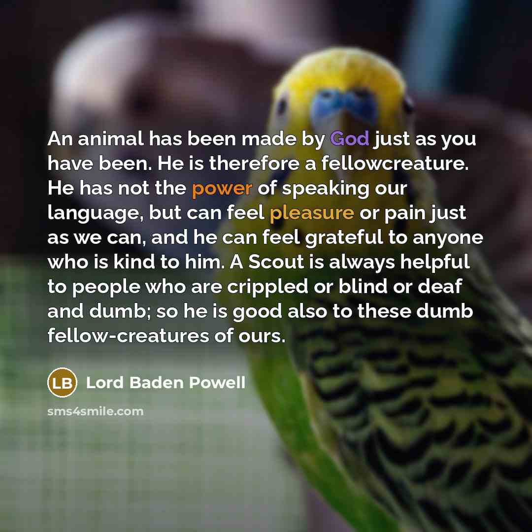 “An animal has been made by God just as you…” quote by Lord Baden Powell
