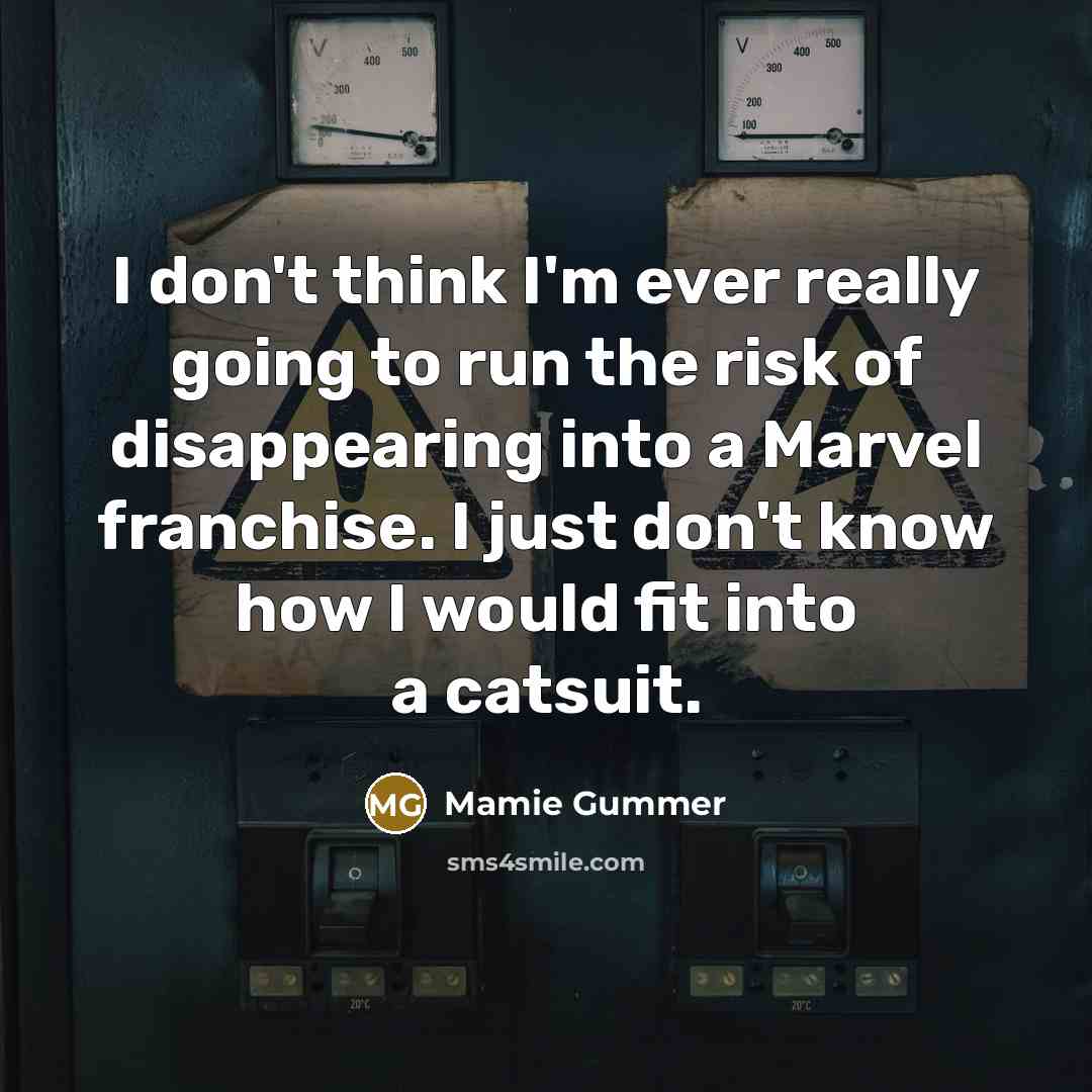 “I don't think I'm ever really going to run the risk of disappearing into a Marvel franchise. I just don't know how I would fit into a catsuit.” quote by Mamie Gummer