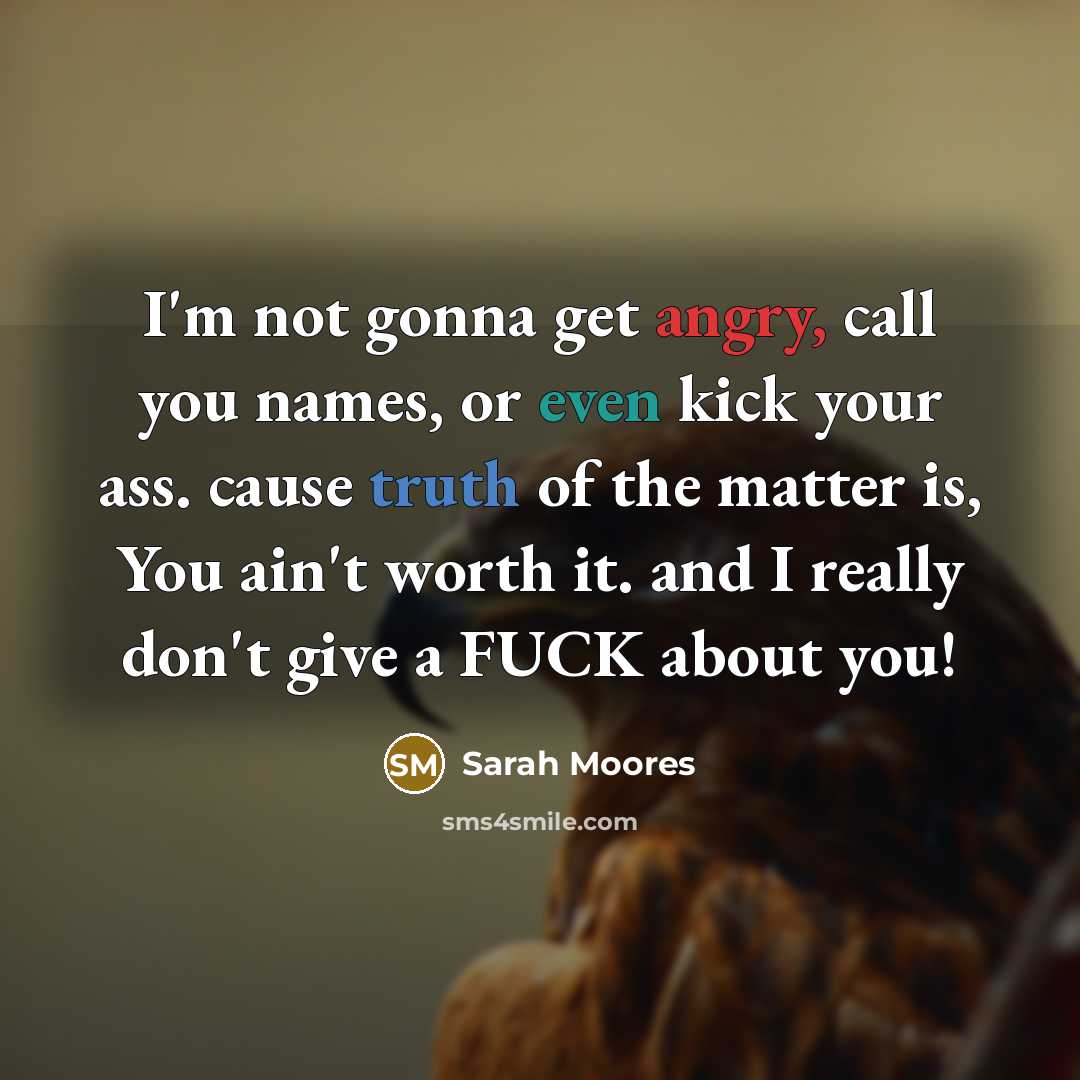 “I'm not gonna get angry, call you names, or even kick your ass. cause truth of the matter is, You ain't worth it. and I really don't give a FUCK about you!” quote by Sarah Moores
