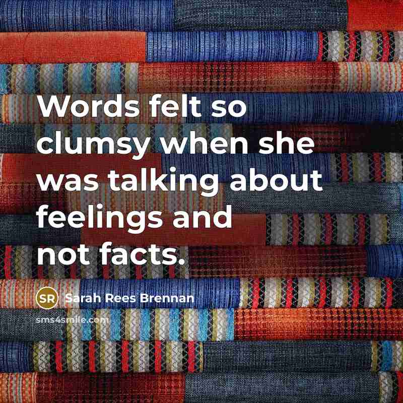“Words felt so clumsy when she was talking about feelings…” quote by Sarah Rees Brennan