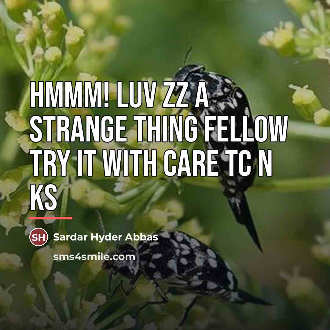 “Hmmm! luv zz a strange thing fellow try it with…” quote by Sardar Hyder Abbas